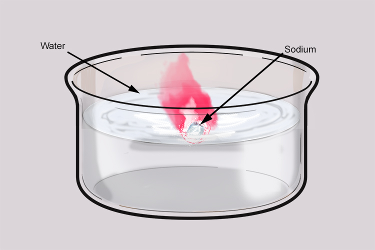 Sodium reacts vigorously with water but the heat given off melts the sodium 